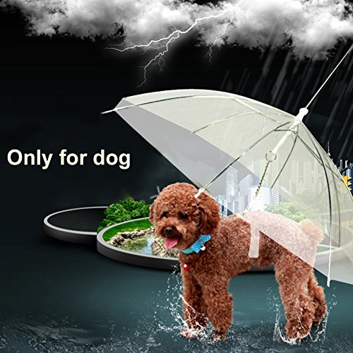 Paraguas transparente y plegable de 50,1 cm con correa para perros y mascotas pequeños ideal para la lluvia, la nieve y un clima húmedo