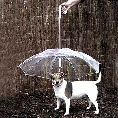 Paraguas transparente y plegable de 50,1 cm con correa para perros y mascotas pequeños ideal para la lluvia, la nieve y un clima húmedo