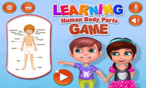 Partes del cuerpo humano - ¡Manera de la diversión de aprender la biología humana para los cabritos!