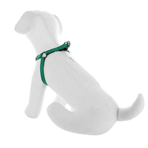 Pawtitas Arnes de Entrenamiento Chaleco Pechera para Perros y Cachorros arnes de adiestramiento Ideal para Caminar Perros Cachorros arnes Pequeño Color Verde Oscuro