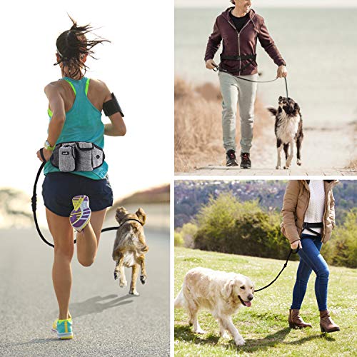 Pecute Correa Running Perro Correa Manos Libres para Perros Grande Proteger la Cintura con Costuras Reflectantes, Cinturones de Cintura Ajustables, Endure 110kg Pecute Correa Running Perro Correa Manos Libres para Perros Grande Proteger la Cintura con Costuras Reflectantes, Cinturones de Cintura Ajustables, Endure 110kg