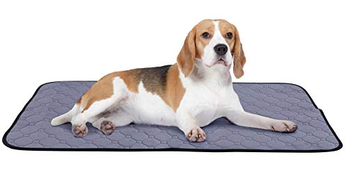 Pecute Empapadores Perros 2 PCS Almohadillas de Entrenamiento para Perros Toallitas de Entrenamiento Pañales Lavable Ultraabsorbente Reutilizables Empapadores Antideslizante (L 90x70cm) Pecute Empapadores Perros 2 PCS Almohadillas de Entrenamiento para Perros Toallitas de Entrenamiento Pañales Lavable Ultraabsorbente Reutilizables Empapadores Antideslizante (L 90x70cm)