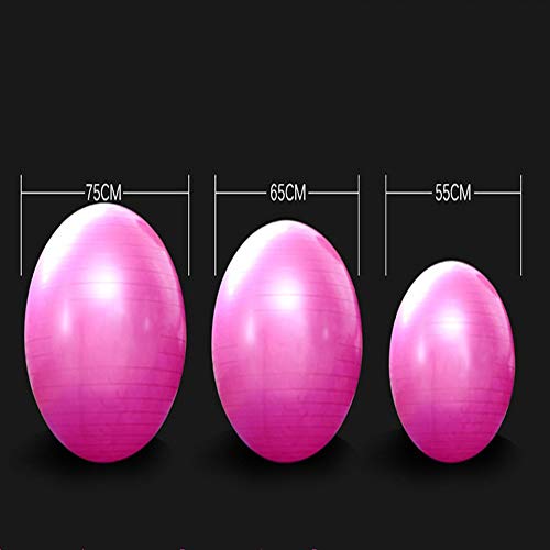 Pelota de ejercicio, embarazo, maternidad, parto, yoga, pilates, antideslizante, pelota suiza engrosada con bomba de aire manual, equilibrio, fitness Pelota de ejercicio, embarazo, maternidad, parto, yoga, pilates, antideslizante, pelota suiza engrosada con bomba de aire manual, equilibrio, fitness