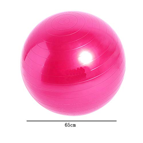 Pelota de Ejercicio,Pelota de Yoga,Pelota Gimnasia,Balón de Ejercicio Anti Explosión,Pelota de Ejercicio Para Fitness,Puede Soportar 250 KG,Adecuado Para Hombres y Mujeres Para Hacer Ejercicio(65 Cm)