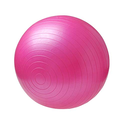 Pelota de Ejercicio,Pelota de Yoga,Pelota Gimnasia,Balón de Ejercicio Anti Explosión,Pelota de Ejercicio Para Fitness,Puede Soportar 250 KG,Adecuado Para Hombres y Mujeres Para Hacer Ejercicio(65 Cm)