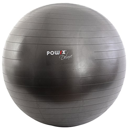 Pelota de Gimnasia Yoga Pilates 55 cm, 65 cm, 75 cm, 85 cm, 95 cm (Antracita Metalizado, 55 cm) Pelota de Gimnasia Yoga Pilates 55 cm, 65 cm, 75 cm, 85 cm, 95 cm (Antracita Metalizado, 55 cm)