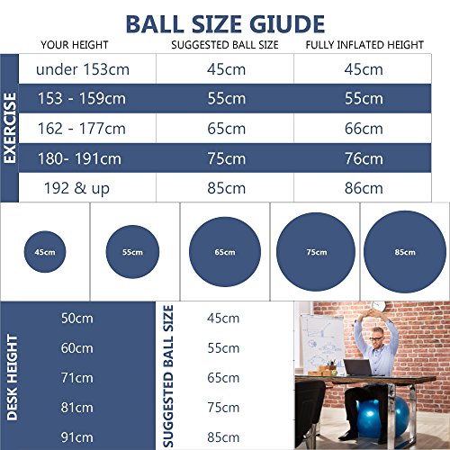 Pelota de Gimnasia Yoga Pilates 55 cm, 65 cm, 75 cm, 85 cm, 95 cm (Antracita Metalizado, 55 cm) Pelota de Gimnasia Yoga Pilates 55 cm, 65 cm, 75 cm, 85 cm, 95 cm (Antracita Metalizado, 55 cm)