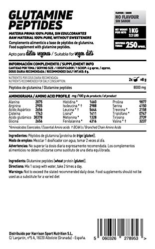 Péptidos de Glutamina de HSN | Máxima Biodisponibilidad y Mayor Asimilación, Recuperación Muscular Óptima, Salud Intestinal | Vegano, Sin Lactosa, Sin Sabor, 1000 gr