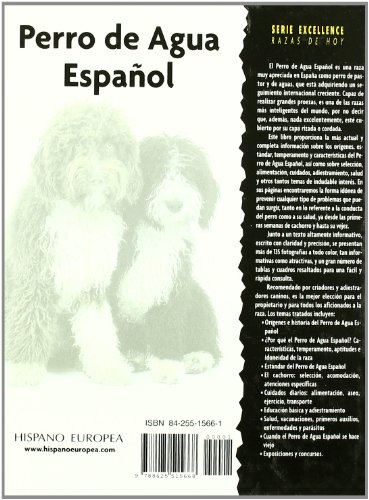 Perro de Agua Español (Excellence)