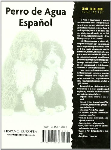 Perro de Agua Español (Excellence) Perro de Agua Español (Excellence)