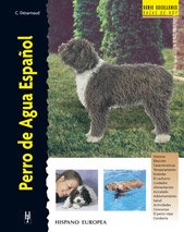 Perro de Agua Español (Excellence) Perro de Agua Español (Excellence)