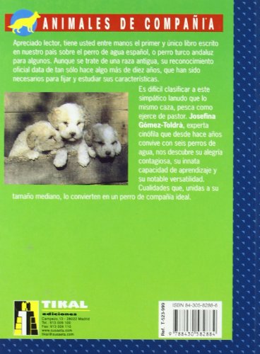 Perro de agua español. (Perros De Agua Español) Perro de agua español. (Perros De Agua Español)