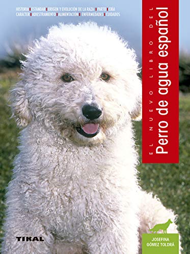Perro de agua español. (Perros De Agua Español) Perro de agua español. (Perros De Agua Español)