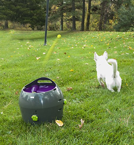 PetSafe: Lanzador automático de Pelotas de Tenis para Perros, Juguete Interactivo para Perros, Entrenamiento de Juego en Interiores o Exteriores, Configuración múltiple, Resistente al Agua PetSafe: Lanzador automático de Pelotas de Tenis para Perros, Juguete Interactivo para Perros, Entrenamiento de Juego en Interiores o Exteriores, Configuración múltiple, Resistente al Agua