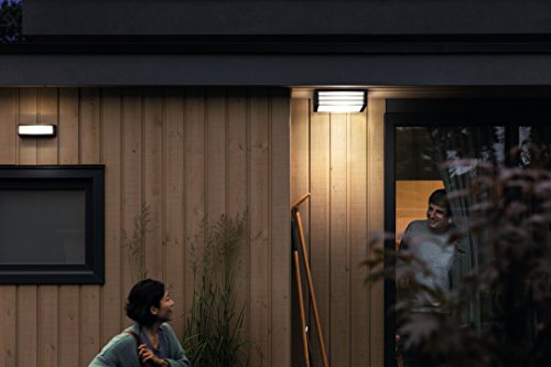 Philips Lighting myGarden MoonshinE Aplique y/o plafón, iluminación exterior, resistente a la humedad y la intemperie, IP44, casquillo E27, antracita