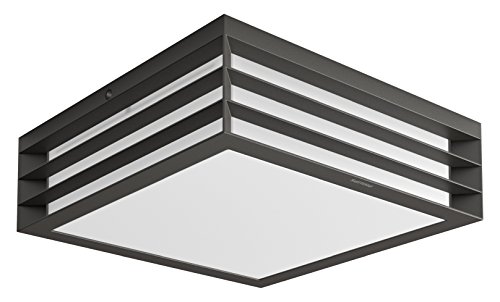 Philips Lighting myGarden MoonshinE Aplique y/o plafón, iluminación exterior, resistente a la humedad y la intemperie, IP44, casquillo E27, antracita Philips Lighting myGarden MoonshinE Aplique y/o plafón, iluminación exterior, resistente a la humedad y la intemperie, IP44, casquillo E27, antracita