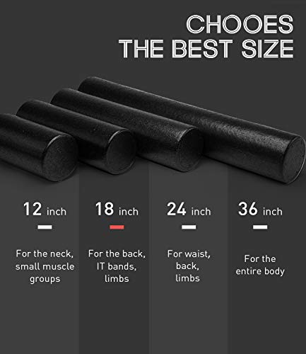 PHYLLEXI Foam Roller - Rodillo de Espuma para Masaje Muscular de Tejido Profundo, Pilates, Yoga, Rodillos de Ejercicio con guía de Entrenamiento PHYLLEXI Foam Roller - Rodillo de Espuma para Masaje Muscular de Tejido Profundo, Pilates, Yoga, Rodillos de Ejercicio con guía de Entrenamiento