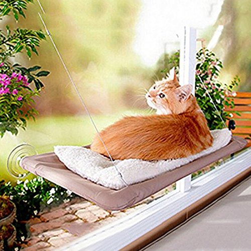 Pinji Hamaca para Gato Perca Seguro con Ventosas Durable Cama Colgante para Gatos para Ventana Suave