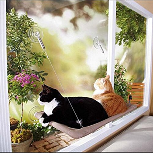 Pinji Hamaca para Gato Perca Seguro con Ventosas Durable Cama Colgante para Gatos para Ventana Suave Pinji Hamaca para Gato Perca Seguro con Ventosas Durable Cama Colgante para Gatos para Ventana Suave