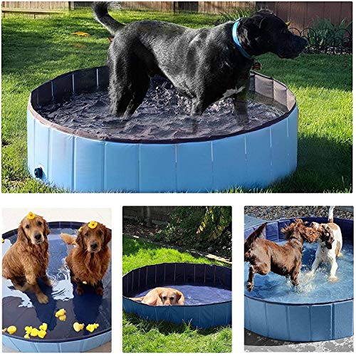 Piscina para Perros Plegable Piscina para Mascotas Bañera de Baño PVC Limpiador Bañera para Perros Bañera para Gatos Bañera,160 * 30CM