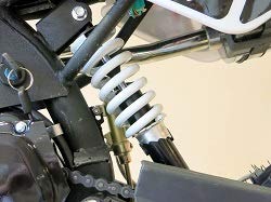 Pit Bike 125CC 14/12 SKULL/Dirt Bike con motor de 4 tiempos y arranque eléctrico. Mini moto de cross para adulto o niños de edad avanzada. Pit Bike 125CC 14/12 SKULL/Dirt Bike con motor de 4 tiempos y arranque eléctrico. Mini moto de cross para adulto o niños de edad avanzada.