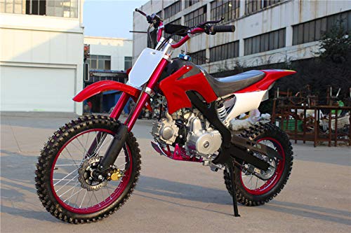 Pit bike con motor de 125cc de 4 tiempos/Mini moto XL con ruedas de 17 y 14 pulgadas. Pit bike con motor de 125cc de 4 tiempos/Mini moto XL con ruedas de 17 y 14 pulgadas.