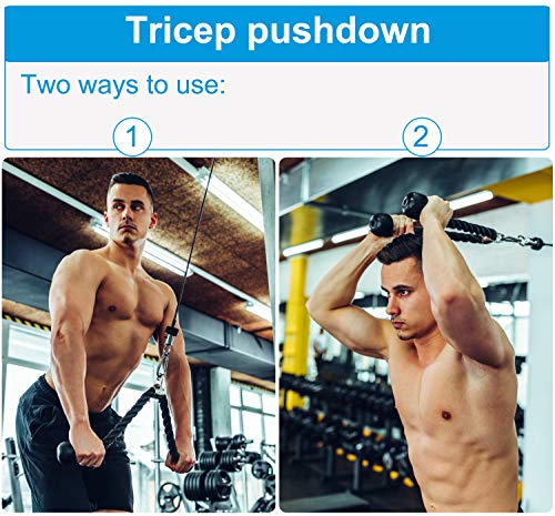 Polea musculación con cuerda Triceps máx. Peso 50 kg para ejercicio delantero brazos Deltoides Polea musculación con cuerda Triceps máx. Peso 50 kg para ejercicio delantero brazos Deltoides