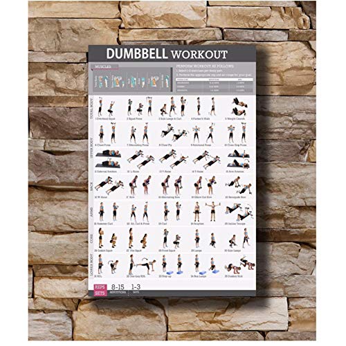 Póster artístico Nuevo entrenamiento con mancuernas Ejercicio corporal Salud Fortalecer Tabla Lienzo ligero Pared-50x70cm Sin marco Póster artístico Nuevo entrenamiento con mancuernas Ejercicio corporal Salud Fortalecer Tabla Lienzo ligero Pared-50x70cm Sin marco