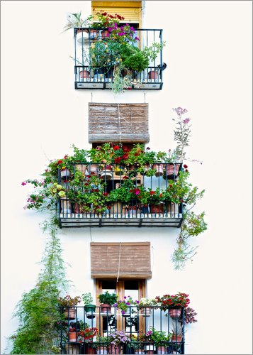 Posterlounge Cuadro de Madera 70 x 90 cm: Facade with Balconies Full of Flowers in Valencia de Editors Choice