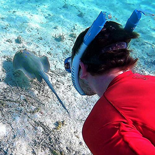 POWERBREATHER AMEO BEACH Edition - l'innovazione snorkel - 100% aria fresca, nessuna respirazione a pendolo grazie alla tecnologia a valvole brevettata (set snorkel con occhiali subacquei Cressi)