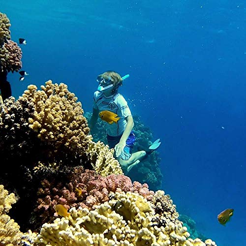 POWERBREATHER AMEO BEACH Edition - l'innovazione snorkel - 100% aria fresca, nessuna respirazione a pendolo grazie alla tecnologia a valvole brevettata (set snorkel con occhiali subacquei Cressi) POWERBREATHER AMEO BEACH Edition - l'innovazione snorkel - 100% aria fresca, nessuna respirazione a pendolo grazie alla tecnologia a valvole brevettata (set snorkel con occhiali subacquei Cressi)