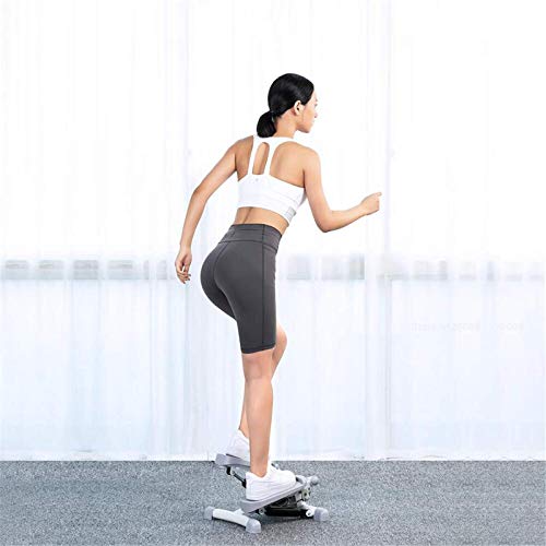 PQXOER Stepper Máquina Mini Fitness Stepper Multifuncional Cinta de correr de la Pierna de la Cintura Herramientas de Ejercicio Adelgazar Deportes Ciclismo Equipo Con Cuerda Elástica Casa Stepper