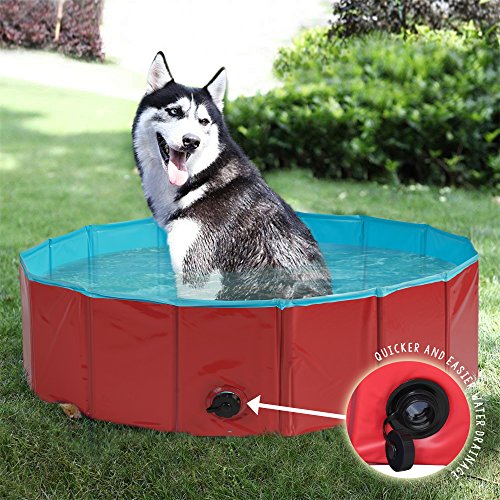 Premium Piscina para Mascotas Plegable 80x30CM - Multifuncional, Portátil, PVC Antideslizante - Bañera para Perros, Perrito, Gatos o como Piscina para Niños, Piscina de Bolas.