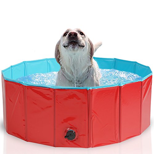 Premium Piscina para Mascotas Plegable 80x30CM - Multifuncional, Portátil, PVC Antideslizante - Bañera para Perros, Perrito, Gatos o como Piscina para Niños, Piscina de Bolas.