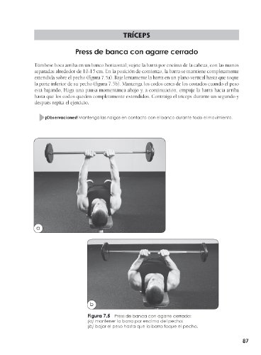 PROGRAMAS DE MUSCULACIÓN: NUEVA EDICICIÓN AMPLIADA Y ACTUALIZADA (En Forma (tutor))