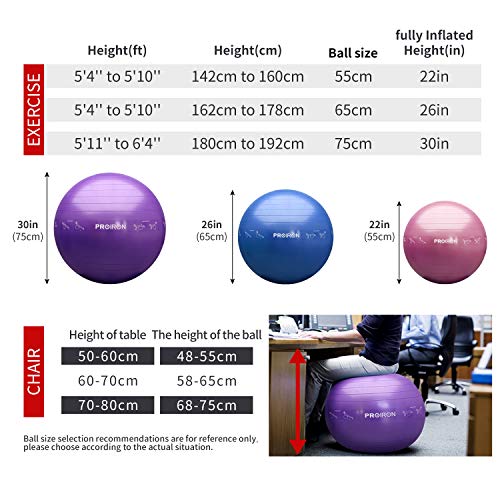 PROIRON Pelota de Pilates 55cm Fitball Pilates Pelota Embarazo (Púrpura)