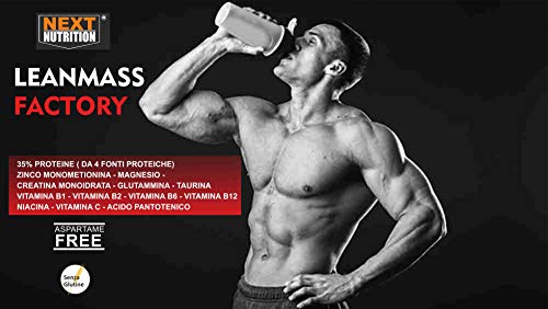 Proteína Aumento de Peso Recuperación Masa muscular Gainer Lean Mass Factory PROTEIN G 1000 Vainilla Liberación Lenta Creatina Glutamina Taurina ZMA Vitaminas Sin Gluten de Aspartamo