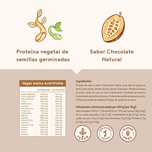 Proteina Vegana | CHOCOLATE | Proteína vegetal de soja, arroz, guisantes, amaranto, semillas de lino de girasol y de calabaza germinadas | 600 g en polvo con sabor a Chocolate natural