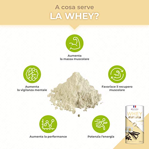 Proteína Whey en Polvo - Suero de leche - Para Entrenar, el Crecimiento Muscular, el Rendimiento, la Recuperación - Sabor a Vainilla - 26 g de proteína por porción - Nutrimea - Fabricado en Francia Proteína Whey en Polvo - Suero de leche - Para Entrenar, el Crecimiento Muscular, el Rendimiento, la Recuperación - Sabor a Vainilla - 26 g de proteína por porción - Nutrimea - Fabricado en Francia