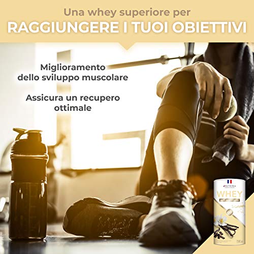 Proteína Whey en Polvo - Suero de leche - Para Entrenar, el Crecimiento Muscular, el Rendimiento, la Recuperación - Sabor a Vainilla - 26 g de proteína por porción - Nutrimea - Fabricado en Francia Proteína Whey en Polvo - Suero de leche - Para Entrenar, el Crecimiento Muscular, el Rendimiento, la Recuperación - Sabor a Vainilla - 26 g de proteína por porción - Nutrimea - Fabricado en Francia