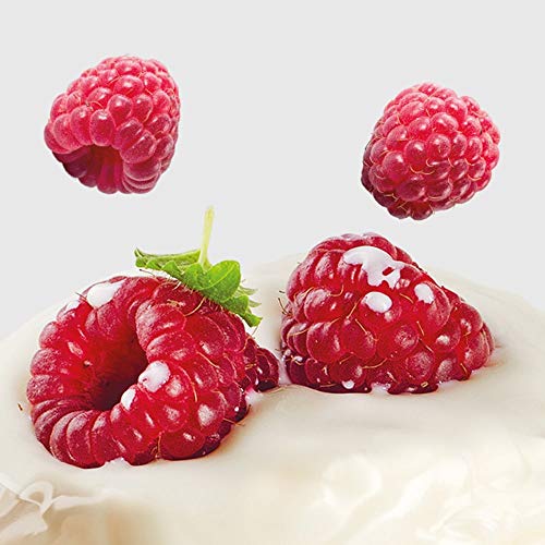 Prozis Zero Snack Barra Rico En Proteína y Bajo en Hidratos de Carbono y Azúcares, Chocolate Blanco con Frambuesas - 12 x 35 g Prozis Zero Snack Barra Rico En Proteína y Bajo en Hidratos de Carbono y Azúcares, Chocolate Blanco con Frambuesas - 12 x 35 g