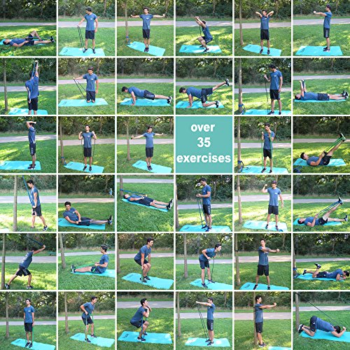 PULLUP & DIP Banda Elástica de Resistencia, Banda de Dominadas, Bandas Fitness, Pull-up Bands (Extra Ligero (Rojo)) PULLUP & DIP Banda Elástica de Resistencia, Banda de Dominadas, Bandas Fitness, Pull-up Bands (Extra Ligero (Rojo))
