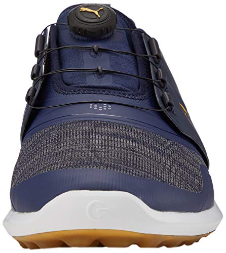 PUMA Ignite Nxt Disc, Zapatos de Golf Hombre, Gris (Peacoat Team Gold/White), 41 EU