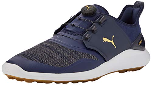 PUMA Ignite Nxt Disc, Zapatos de Golf Hombre, Gris (Peacoat Team Gold/White), 41 EU