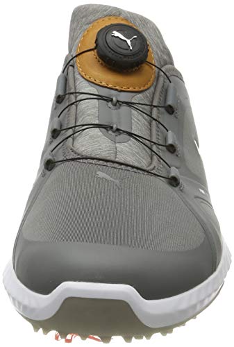 Puma Ignite Pwradapt Disc, Zapatos de Golf para Hombre, Gris (Quiet Shade-Quiet Shade 03), 41 EU