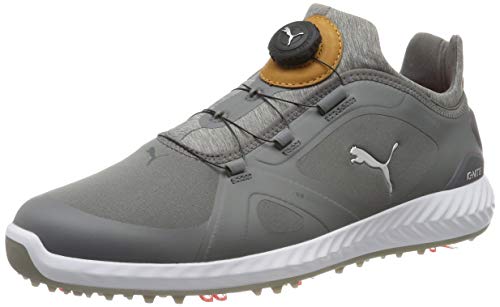 Puma Ignite Pwradapt Disc, Zapatos de Golf para Hombre, Gris (Quiet Shade-Quiet Shade 03), 41 EU