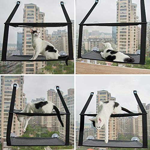 PUPPY KITTY Hamaca para Ventana de Gato Cama Colgante de 6 Ventosas Resistentes para 2 Gatos Capacidad de hasta 15 kg Ahorro de Espacio Negra PUPPY KITTY Hamaca para Ventana de Gato Cama Colgante de 6 Ventosas Resistentes para 2 Gatos Capacidad de hasta 15 kg Ahorro de Espacio Negra