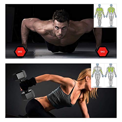 QILIN Mancuernas De Ejercicio, Par De Mancuernas Sport Hexagon Dumbbell Set Home Gym Fitness Hexagon Dumbbell Kit Ejercicio De Levantamiento De Pesas, 2KG,4KG,6KG,5KG,10KG,12KG,15KG,20KG QILIN Mancuernas De Ejercicio, Par De Mancuernas Sport Hexagon Dumbbell Set Home Gym Fitness Hexagon Dumbbell Kit Ejercicio De Levantamiento De Pesas, 2KG,4KG,6KG,5KG,10KG,12KG,15KG,20KG