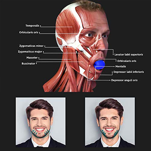 qipuneky Ejercitador de mandibula, Ejercitador de Barbilla, Pelota de Fitness para Barbilla, para Entrenamiento de Músculos Maseteros (Azul + violeta)