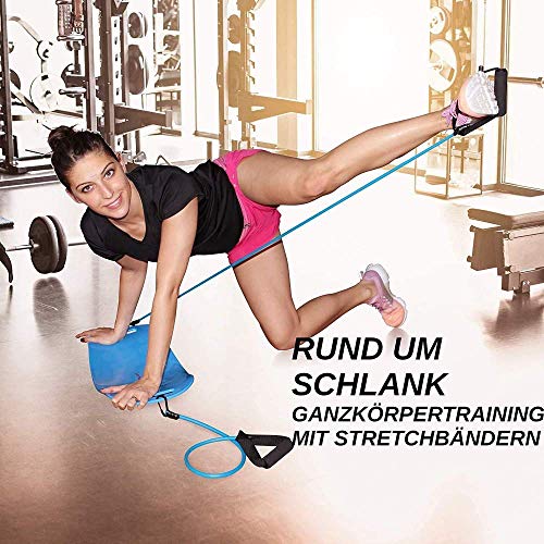 qiuqiu Tablero de Equilibrio de Fitness, Tablero de Entrenamiento de Entrenamiento de Gimnasio de Yoga, Ejercicio de Equilibrio de Entrenamiento de Cuerpo Completo de Pierna Abdominal-Purple qiuqiu Tablero de Equilibrio de Fitness, Tablero de Entrenamiento de Entrenamiento de Gimnasio de Yoga, Ejercicio de Equilibrio de Entrenamiento de Cuerpo Completo de Pierna Abdominal-Purple